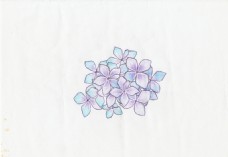 手绘紫阳花