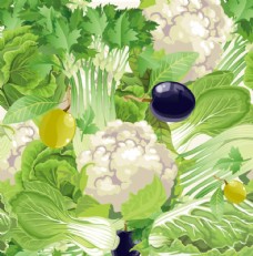 绿色蔬菜蔬菜手绘背景