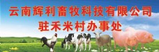 畜牧业畜牧农业海报