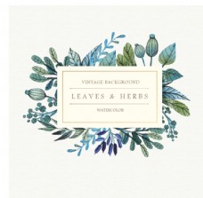结婚背景设计水彩叶和草本植物背景插画