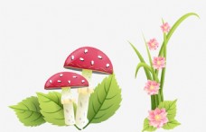 蘑菇 花朵