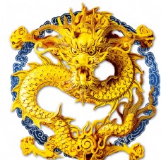 中国龙纹理