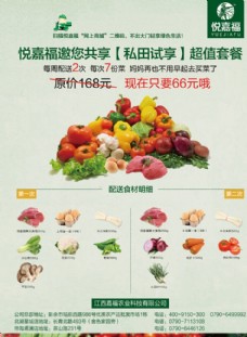 绿色蔬菜蔬菜宣传单套餐海报