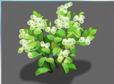 铃兰植物物种flash动画