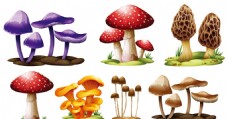 广告春天蘑菇