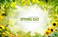 spring春天绿叶绿色环保背景素材